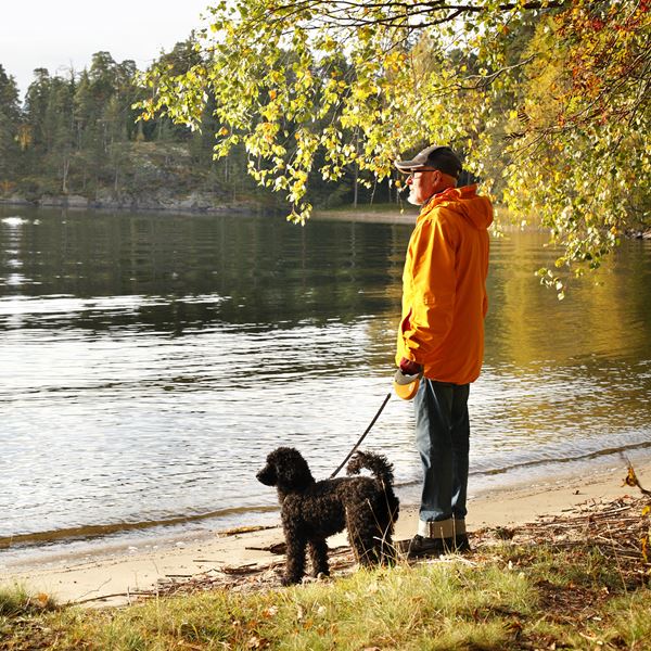 Skatteregler og arveafgift