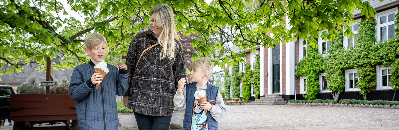 Har du de rigtige forsikringer?