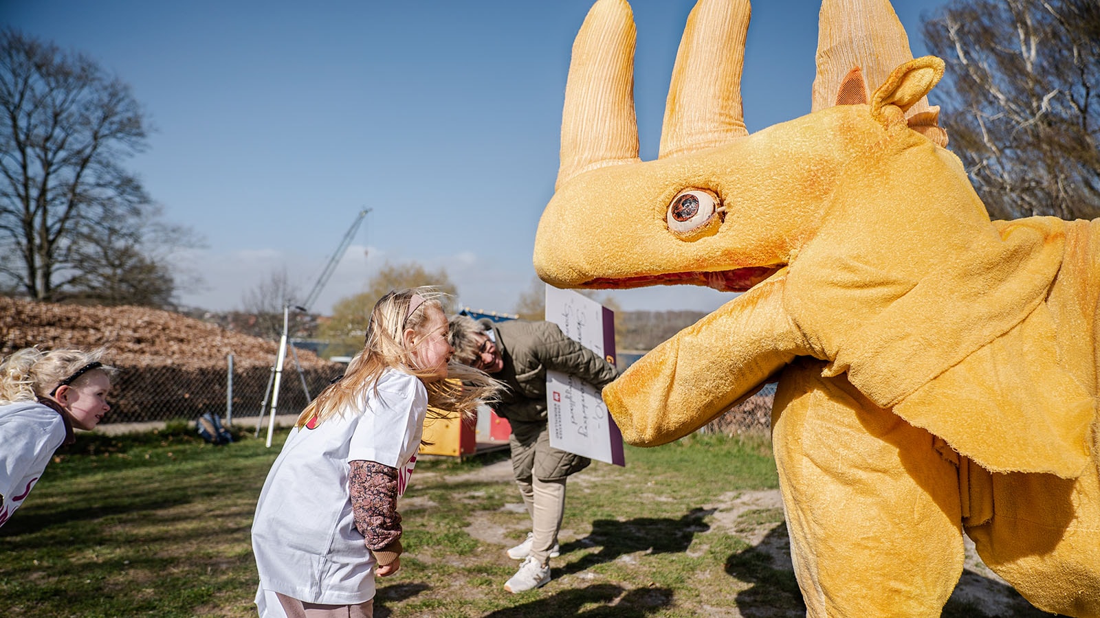 Gavefond naesehorn otto