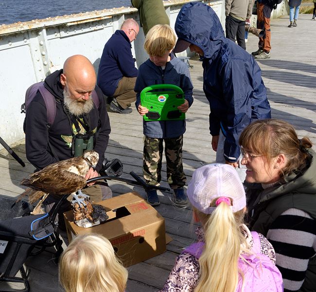 Børnene på dagens tur kigger interesseret på en udstoppet fiskeørn, som naturvejleder Michael Winther har medbragt.