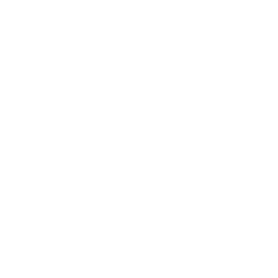 ikon_udland_hvid_256x256